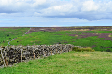 North York Moors landscape, Yorkshire, England