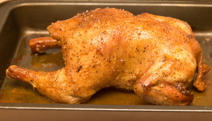 grilled chicken