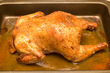 grilled chicken