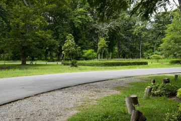 the road in the park
