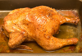 grilled chicken