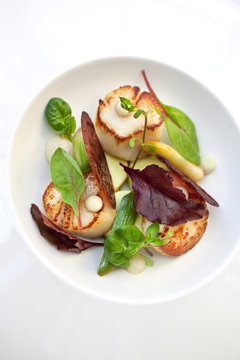 Saint-Jacques dish