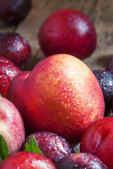 Colorful plums and peaches, still life, selective focus