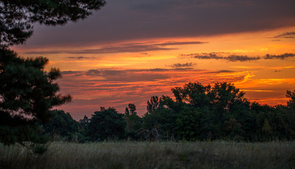 Fototapeta na wymiar Sonnenaufgang über einem Waldgebiet bei Mainz