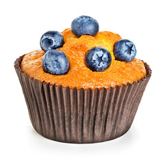 Muffin isolated