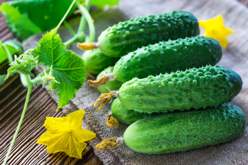 cucumbers on the wooden background