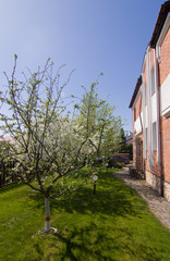 Very pretty house made of red bricks, surrounded with gorgeous trees