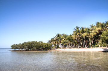 The coast of a small island near Barra and Praia do Tofo in Inhambane, Mozambique
