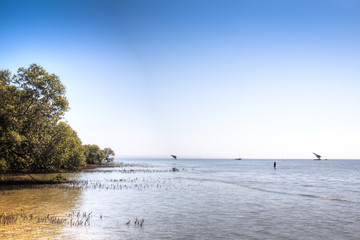 The coast of a small island near Barra and Praia do Tofo in Inhambane, Mozambique
