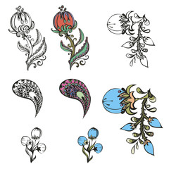 set of vector design of flowers