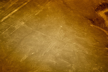 Hummingbird, Nazca lines, Peru