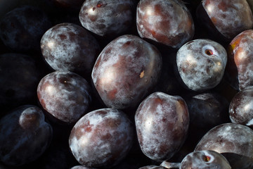 Detail of bunch of plums