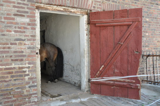 l&auml;ssiges Pferd im Stall