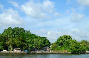 Naklejka na ściany i meble tree by the river with blue sky