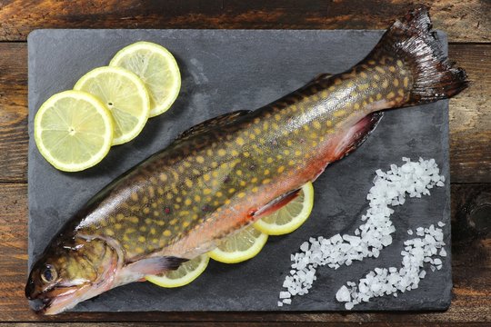 garfertiger Saibling auf Schieferplatte