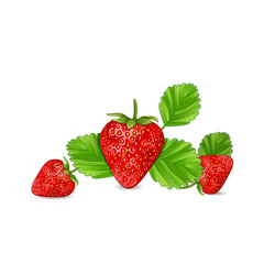 Strawberry with leaves isolated on white background.