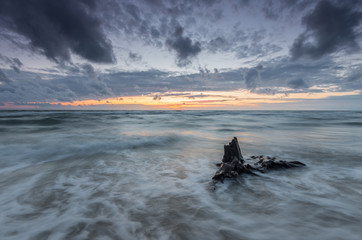 Baltic sea coast at sunset, with trunks and roots of the forest drowned by the advancing sea in Rowy, near Ustka, Poland