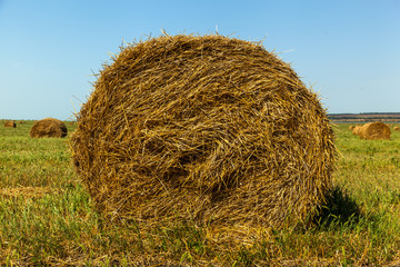 haystack, hay, background, rural, field, farm, summer, wheat, agriculture