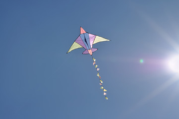 Kite flying in a sunny blue sky