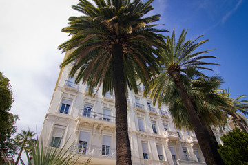 Fototapeta na wymiar Beautiful palm trees and old building in Nice in France