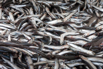 Anchovies (hamsi)