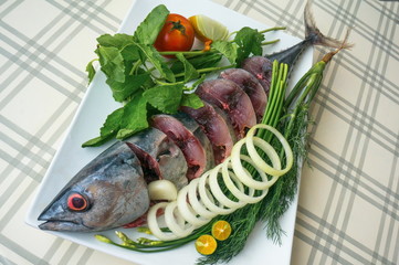 Рыбы Таиланда - тунец