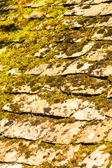 Old grunge stone roof with moss pattern background