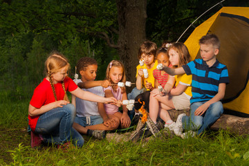 Obraz premium Diverse kids with marshmallow treat near bonfire