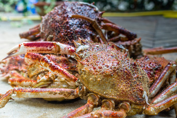 Spider Crabs close up