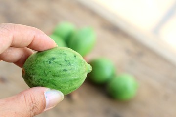 baby melon on wooden vintage