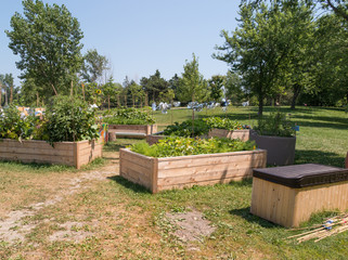 Raised beds in Community Garden