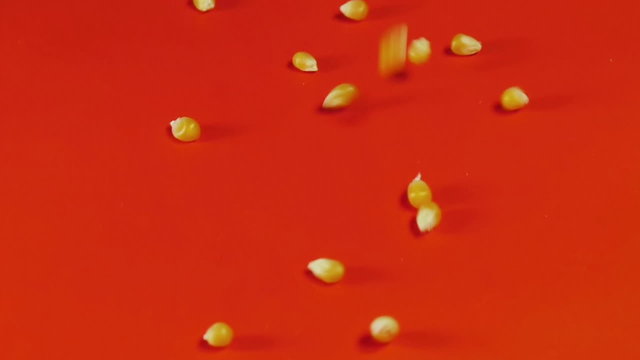 Corn Seeds Dropped On Red Surface.