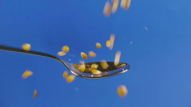 Corn Seeds Dropped On Spoon Slow Motion. Shot at 60p conformed to 24p.