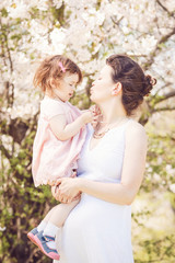 Fototapeta premium Portrait of caucasian pregnant mother in long white dress holding and kissing her daughter in pink clothes on spring summer day in park outside among blooming cherry trees 