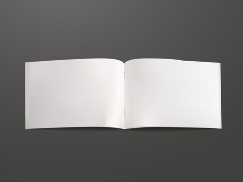 blank open book template