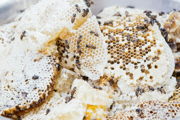honeycomb