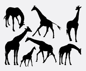 Naklejka premium Giraffe animal silhouettes