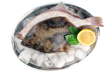 Fresh fishes with lemon and ice on metal tray isolated on white