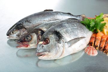 Fresh fishes and shrimps with spices  on metal background