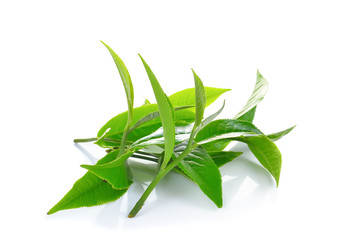 Fresh green tea leaf on white background