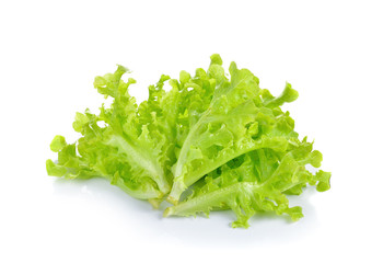 Fresh  lettuce isolated on white background