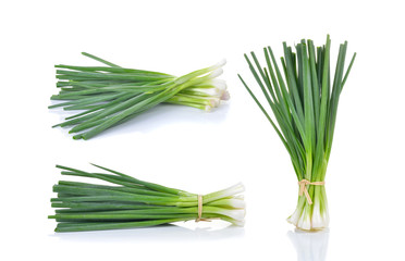 Green Onion on white background