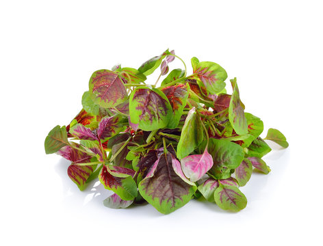 Red spinach on wooden background