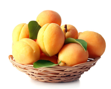 Ripe apricots in wicker bowl isolated on white