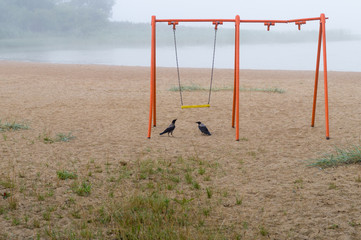 Old orange swing and two crows on the beach, foggy lake