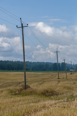 Fototapeta na wymiar Old wooden telephone poles in countryside, rural background