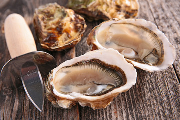 fresh oyster