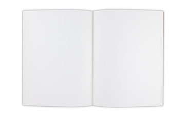 Book blank