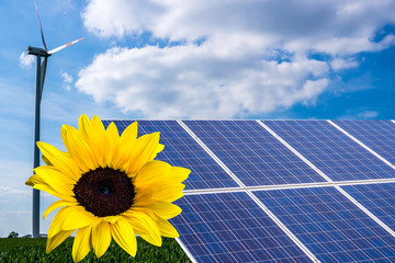 Solarpark mit Windrad und Sonnenblume 05