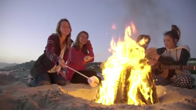 Teenagers friends enjoy the bonfire at the beach